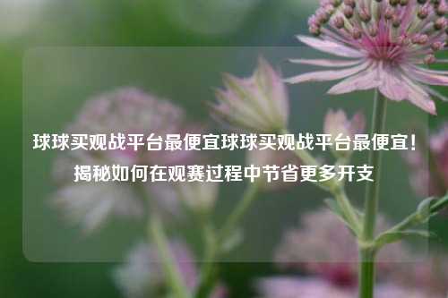 球球买观战平台最便宜球球买观战平台最便宜！揭秘如何在观赛过程中节省更多开支