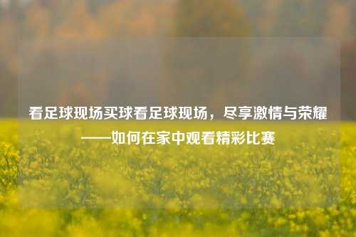 看足球现场买球看足球现场，尽享激情与荣耀——如何在家中观看精彩比赛