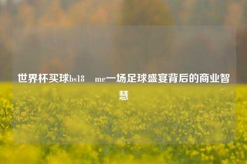 世界杯买球bs18婰me一场足球盛宴背后的商业智慧