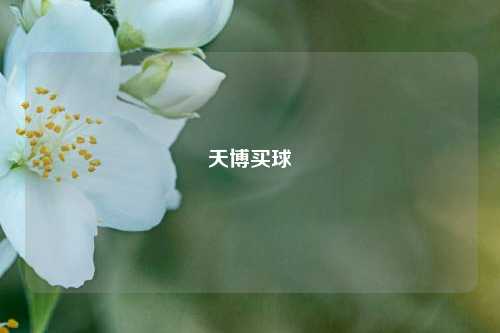天博买球