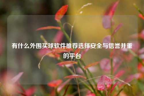 有什么外围买球软件推荐选择安全与信誉并重的平台