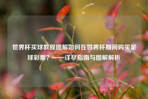 世界杯买球教程图解如何在世界杯期间购买足球彩票？——详尽指南与图解解析