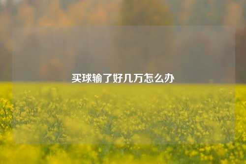 买球输了好几万怎么办