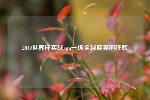 2019世界杯买球app一场全球盛宴的狂欢