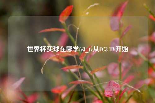世界杯买球在哪学fc3_tv从FC3 TV开始