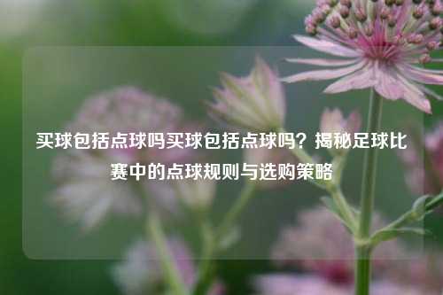 买球包括点球吗买球包括点球吗？揭秘足球比赛中的点球规则与选购策略