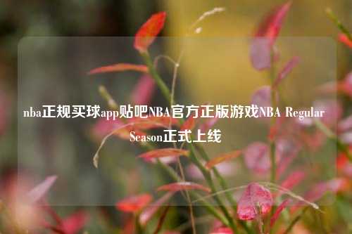 nba正规买球app贴吧NBA官方正版游戏NBA Regular Season正式上线