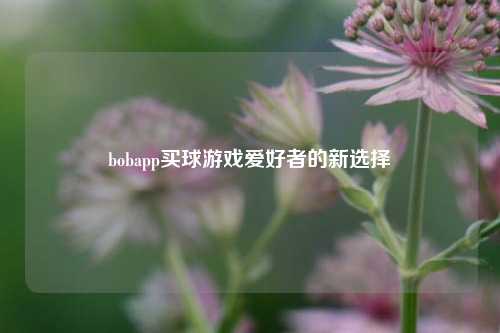bobapp买球游戏爱好者的新选择