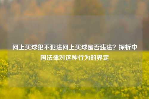 网上买球犯不犯法网上买球是否违法？探析中国法律对这种行为的界定