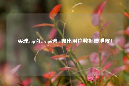 买球app卤ybvip6碘cc曝出用户数据遭泄露！