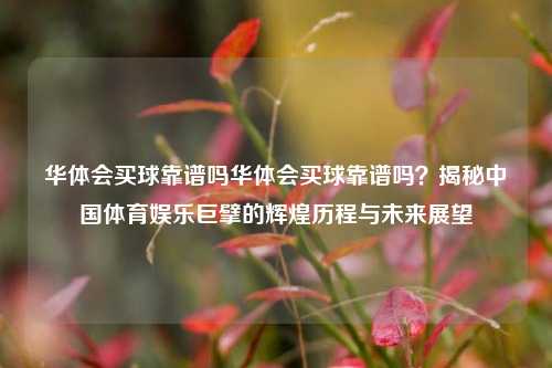 华体会买球靠谱吗华体会买球靠谱吗？揭秘中国体育娱乐巨擘的辉煌历程与未来展望