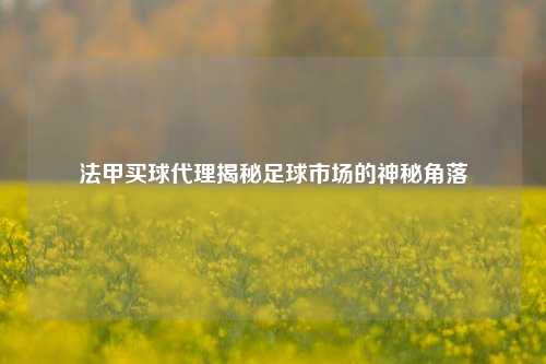法甲买球代理揭秘足球市场的神秘角落