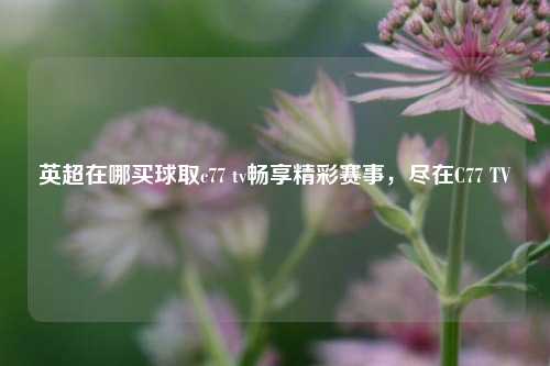 英超在哪买球取c77 tv畅享精彩赛事，尽在C77 TV