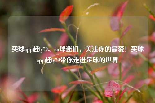 买球app赶ly79、cn球迷们，关注你的最爱！买球app赶ly79带你走进足球的世界