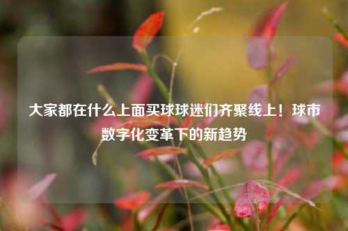 大家都在什么上面买球球迷们齐聚线上！球市数字化变革下的新趋势