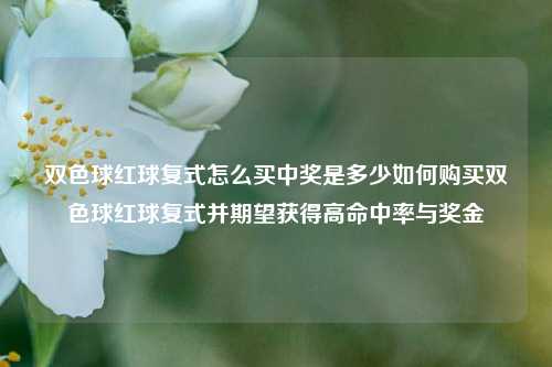 双色球红球复式怎么买中奖是多少如何购买双色球红球复式并期望获得高命中率与奖金