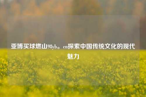 亚博买球燃山98yb。cn探索中国传统文化的现代魅力