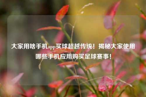 大家用啥手机app买球超越传统！揭秘大家使用哪些手机应用购买足球赛事！