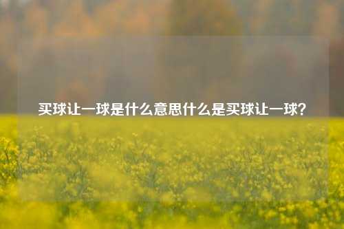 买球让一球是什么意思什么是买球让一球？
