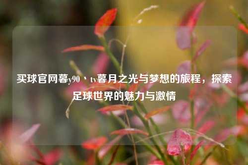 买球官网暮y90丶tv暮月之光与梦想的旅程，探索足球世界的魅力与激情