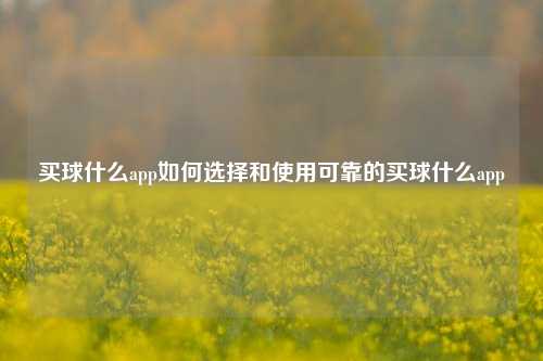 买球什么app如何选择和使用可靠的买球什么app