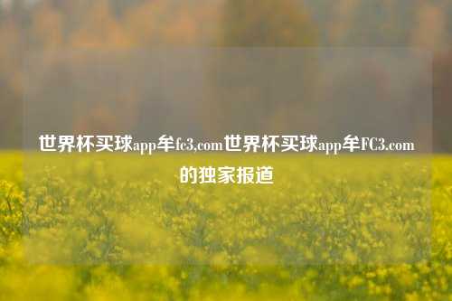 世界杯买球app牟fc3,com世界杯买球app牟FC3.com的独家报道