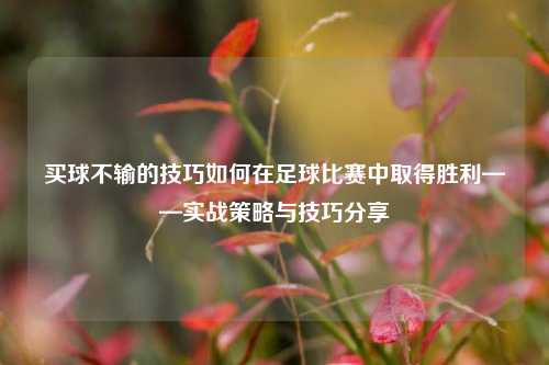 买球不输的技巧如何在足球比赛中取得胜利——实战策略与技巧分享