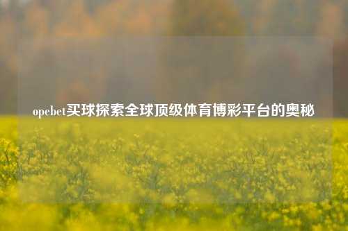 opebet买球探索全球顶级体育博彩平台的奥秘