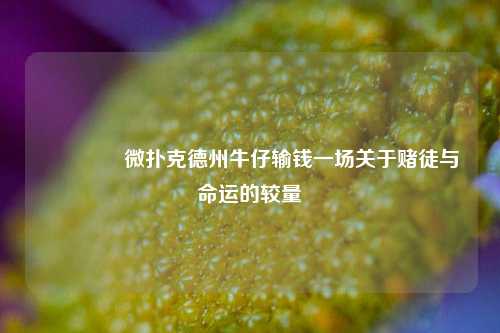 🥉微扑克德州牛仔输钱一场关于赌徒与命运的较量