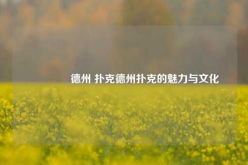 🥈德州 扑克德州扑克的魅力与文化