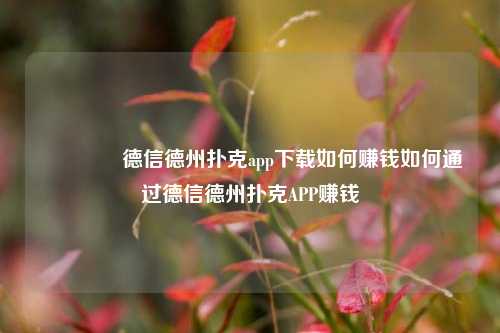 🌈德信德州扑克app下载如何赚钱如何通过德信德州扑克APP赚钱