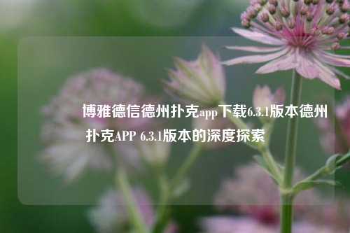 🥈博雅德信德州扑克app下载6.3.1版本德州扑克APP 6.3.1版本的深度探索