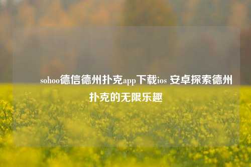 ✌️sohoo德信德州扑克app下载ios 安卓探索德州扑克的无限乐趣