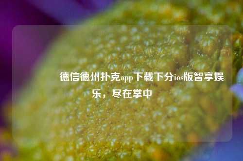 🏆德信德州扑克app下载下分ios版智享娱乐，尽在掌中
