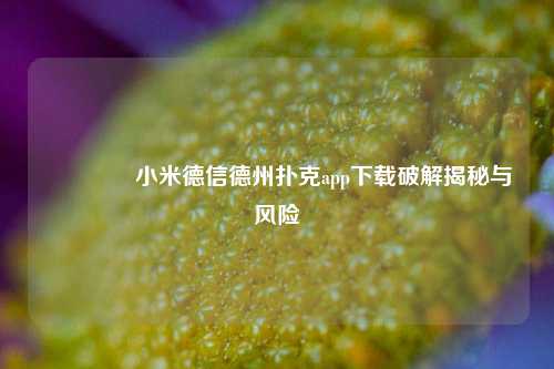 👉小米德信德州扑克app下载破解揭秘与风险