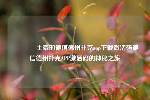 🌈土豪的德信德州扑克app下载激活码德信德州扑克APP激活码的神秘之旅