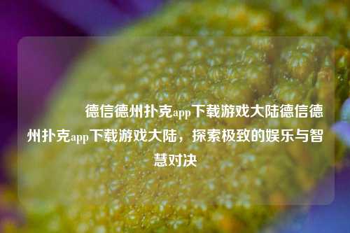 🥉德信德州扑克app下载游戏大陆德信德州扑克app下载游戏大陆，探索极致的娱乐与智慧对决