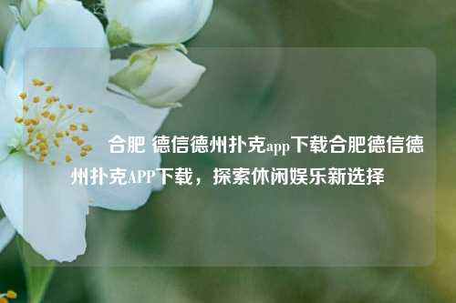 🏅合肥 德信德州扑克app下载合肥德信德州扑克APP下载，探索休闲娱乐新选择
