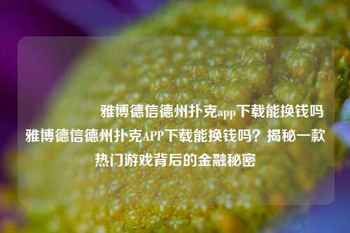 🎖️雅博德信德州扑克app下载能换钱吗雅博德信德州扑克APP下载能换钱吗？揭秘一款热门游戏背后的金融秘密