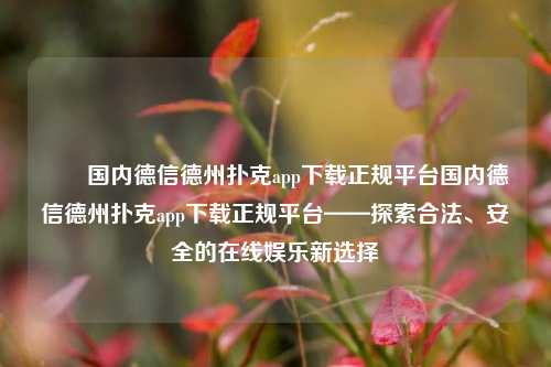 ✌️国内德信德州扑克app下载正规平台国内德信德州扑克app下载正规平台——探索合法、安全的在线娱乐新选择