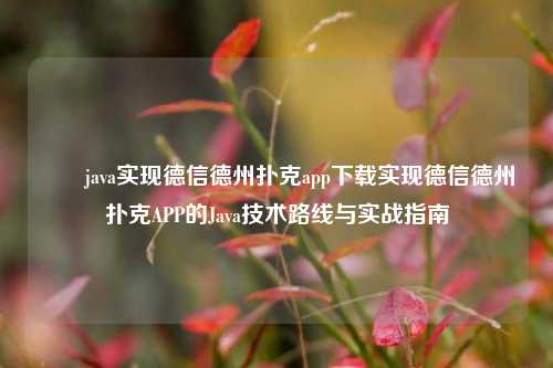✌️java实现德信德州扑克app下载实现德信德州扑克APP的Java技术路线与实战指南