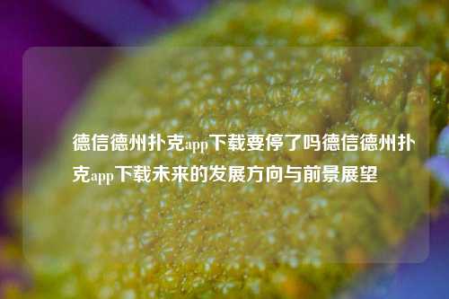 ✌️德信德州扑克app下载要停了吗德信德州扑克app下载未来的发展方向与前景展望