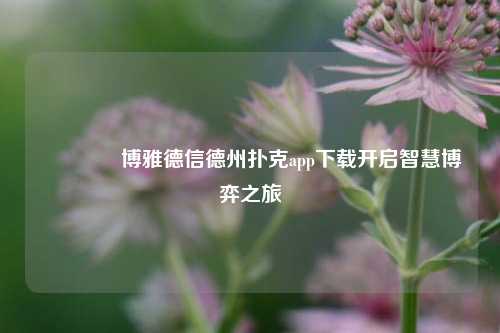 🌈博雅德信德州扑克app下载开启智慧博弈之旅
