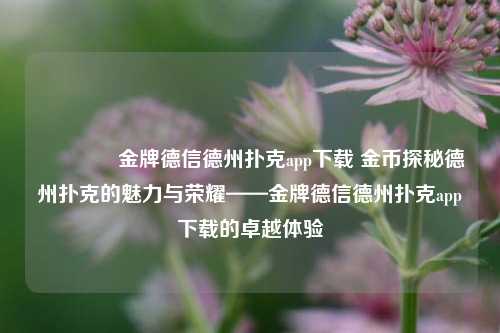 🌈金牌德信德州扑克app下载 金币探秘德州扑克的魅力与荣耀——金牌德信德州扑克app下载的卓越体验
