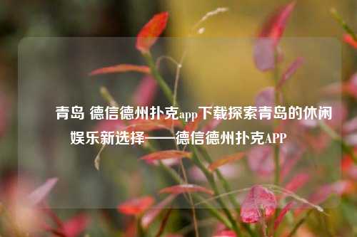 ✌️青岛 德信德州扑克app下载探索青岛的休闲娱乐新选择——德信德州扑克APP