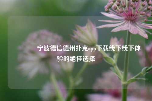 👈宁波德信德州扑克app下载线下线下体验的绝佳选择