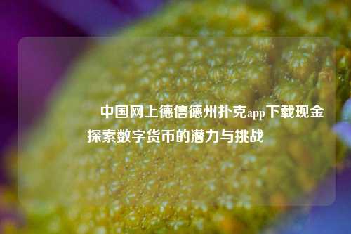 🎖️中国网上德信德州扑克app下载现金探索数字货币的潜力与挑战