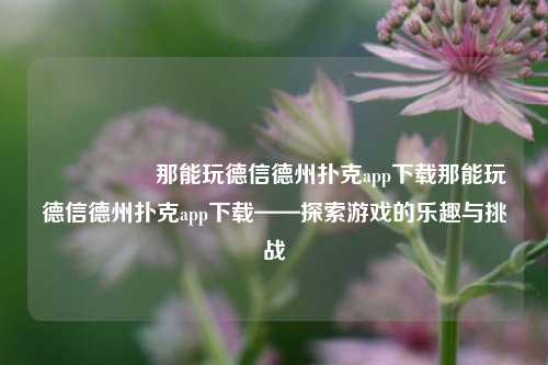 🎖️那能玩德信德州扑克app下载那能玩德信德州扑克app下载——探索游戏的乐趣与挑战