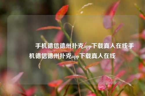 🏆手机德信德州扑克app下载真人在线手机德信德州扑克app下载真人在线