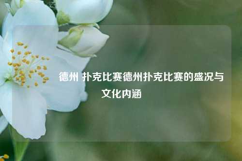 👍德州 扑克比赛德州扑克比赛的盛况与文化内涵